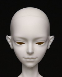 1/4 Achelous Human Head 1/4 Achelous Human Head