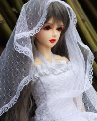AG008 (in stock) AG008 (in stock)