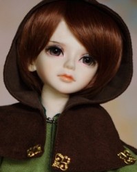 Robin Robin