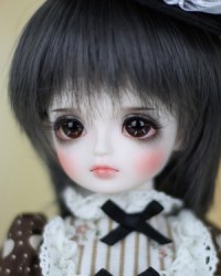 27cm Eddy Head 27cm Eddy Head