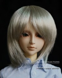 ACWT020 Silver #60 ACWT020 Silver #60