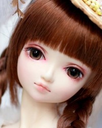 Dorean Style-04 (Autumn Secret Language)