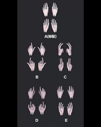 Xaga 73cm Nebula Boy Hands Xaga 73cm Nebula Boy Hands