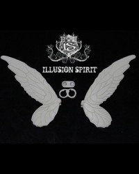 IS Spirit Wings