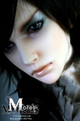 Morse