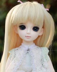 27cm Verdin Head 27cm Verdin Head