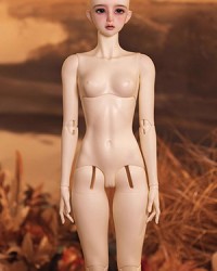 DK 65cm Girl Body Ver.3 (DS12) DK 65cm Girl Body Ver.3 (DS12)