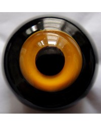 EDA037 16mm