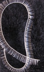 Eyelash White
