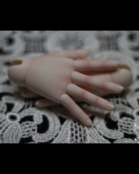 IS 1/4 MSD Jointed Hands