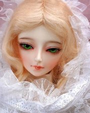 Senior 65cm