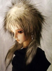 FW003 Long