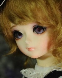 27cm Vanetta Head 27cm Vanetta Head