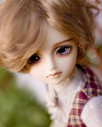 42cm Guang Nian Head 42cm Guang Nian Head