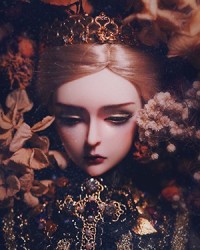 Lucius SP-2 Lucius SP-2