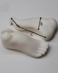 2D 1/4 Girl Heel Feet 2D 1/4 Girl Heel Feet