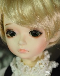 27cm Cavell Head 27cm Cavell Head